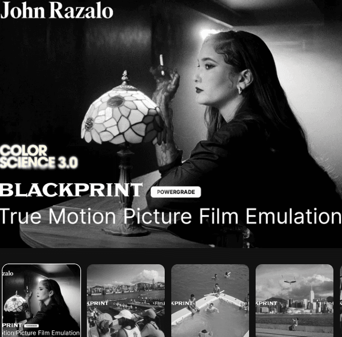 BlackPrint B&W Film Emulation
